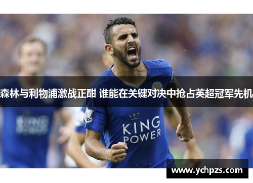 森林与利物浦激战正酣 谁能在关键对决中抢占英超冠军先机 森林与利物浦激战正酣 谁能在关键对决中抢占英超冠军先机