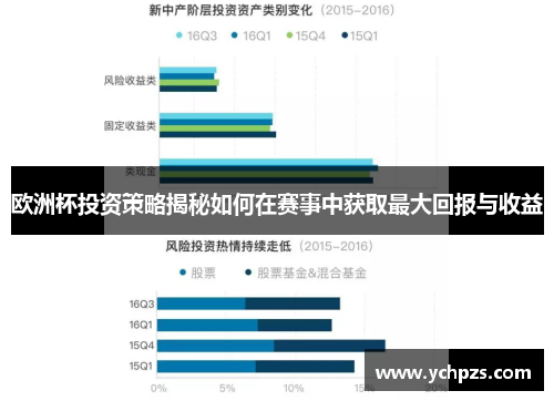 欧洲杯投资策略揭秘如何在赛事中获取最大回报与收益