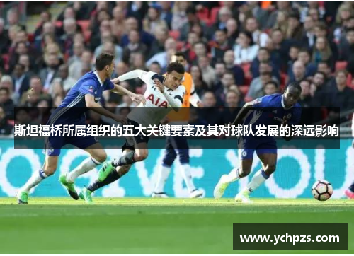 斯坦福桥所属组织的五大关键要素及其对球队发展的深远影响
