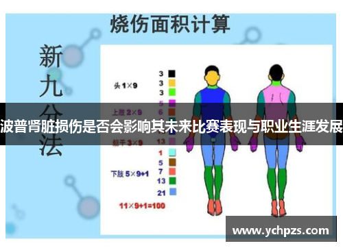 波普肾脏损伤是否会影响其未来比赛表现与职业生涯发展