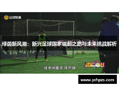 绿茵新风潮：新兴足球国家崛起之路与未来挑战解析